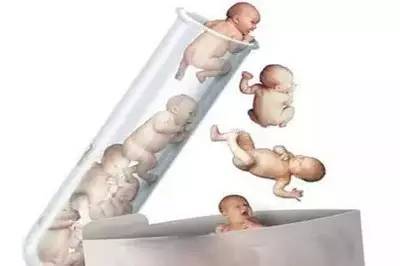 张蓝之主任